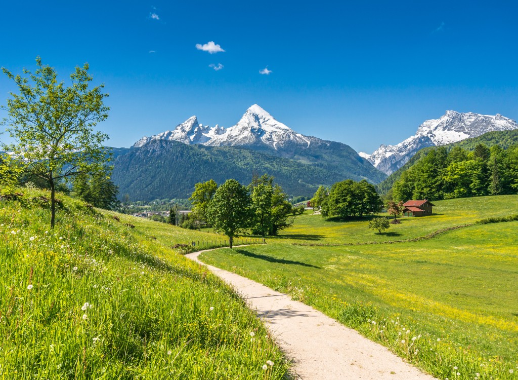 Wandelen 2 vakantie Portes du soleil Frankrijk Alpen zomer bergen.jpg