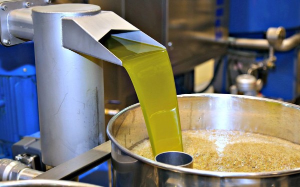 Olijven 14 Frankrijk Provence Languedoc olijfolie persen markt vakantie Middellandse zee.jpg