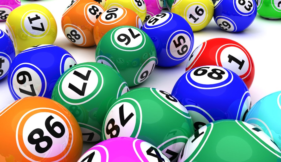 Bingo 1 vakantie Frankrijk animatie nederlands kinderen gezinnen.jpg