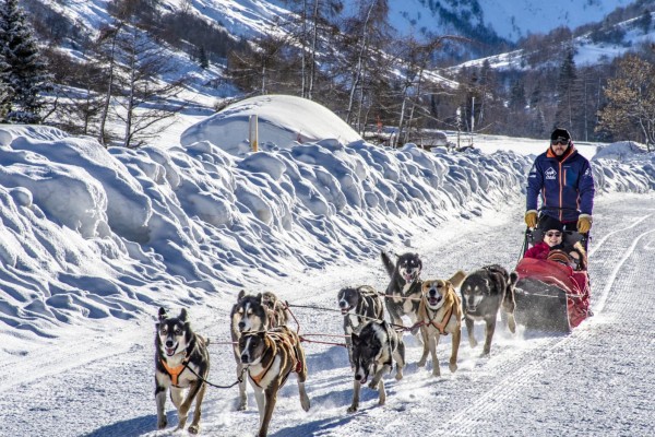 Hondenslee 7 chiens de traineux Frankrijk Alpen Portes du Soleil Abondance Odyssee Mont Blanc.jpg