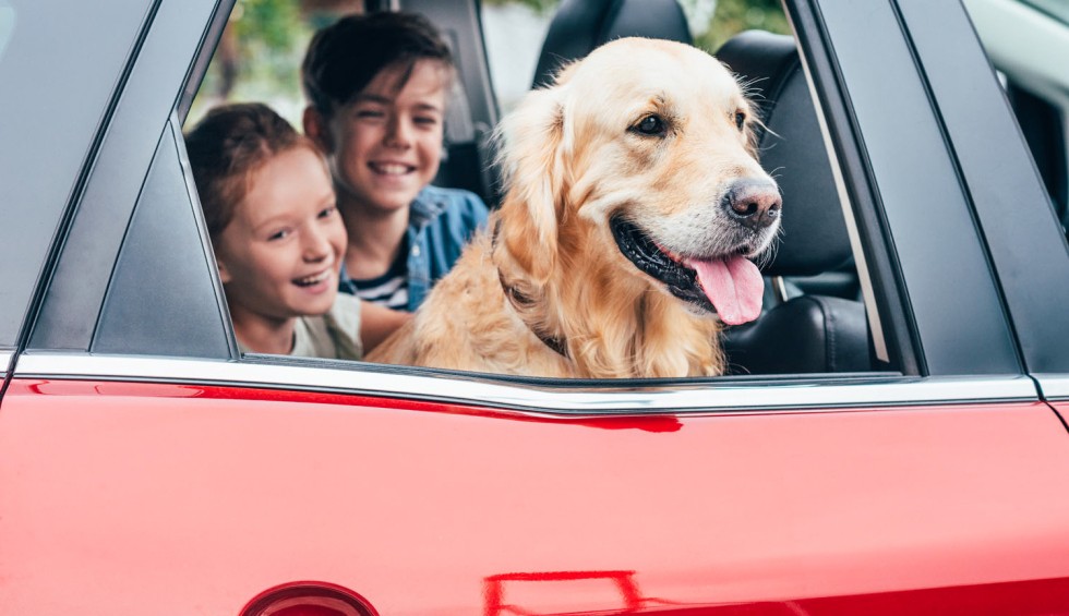 Hond 1 vakantie Frankrijk luxe villa wandelen zwemmen gezin.jpg