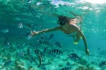 Snorkelen 9 Frankrijk diepzeeduiken diving plonger vakantie middellandse zee kust Provence.jpg