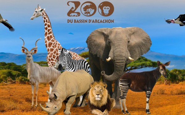 Zoo 1 Arcachon bassin teste buch Frankrijk dierentuin vakantie Bordeaux Gironde luxe villa animatie.