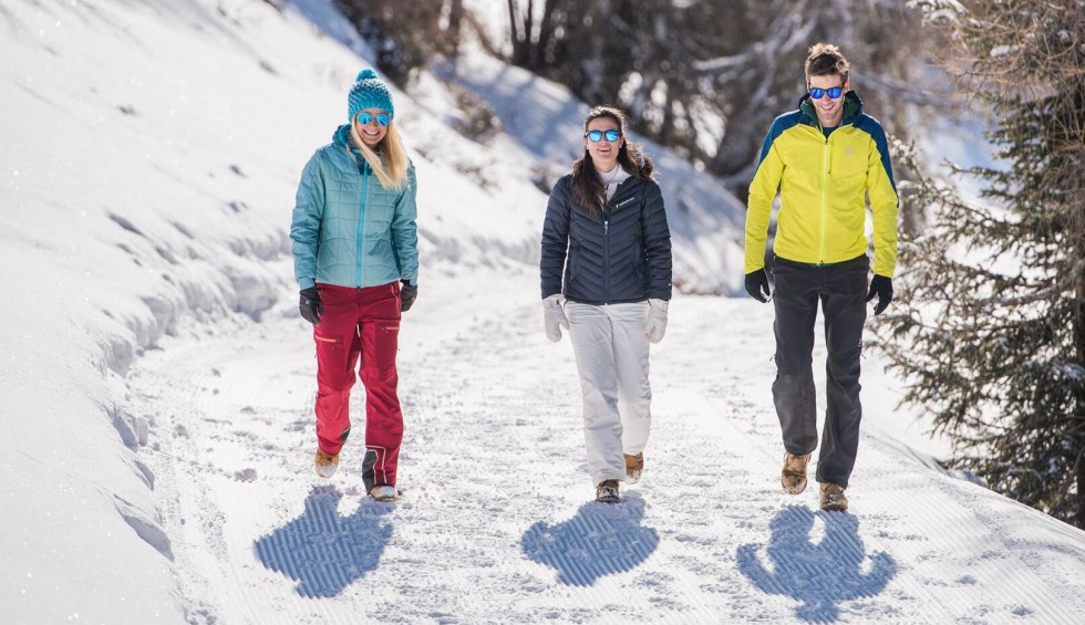 Wandelen sneeuw 1a Frankrijk vakantie Alpen Portes du Soleil Abondance.jpg