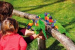 Zoo 16 Arcachon bassin teste buch Frankrijk dierentuin vakantie Bordeaux Gironde luxe villa animatie