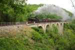 Train Martel 11 Frankrijk Dordogne spoorrails toeristentrein train vapeur goedkoop villa luxe hond w