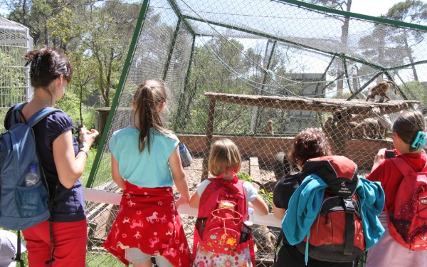 Fauverie 2 dierentuin Mont Faron Toulon ZOO  Frankrijk Provence vakantie Middellandse zee villa.jpg