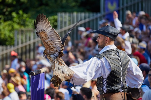 P 22 Puy du Fou Le Bal des Oiseaux Fantômes Vendee Frankrijk vakantie villa.jpg
