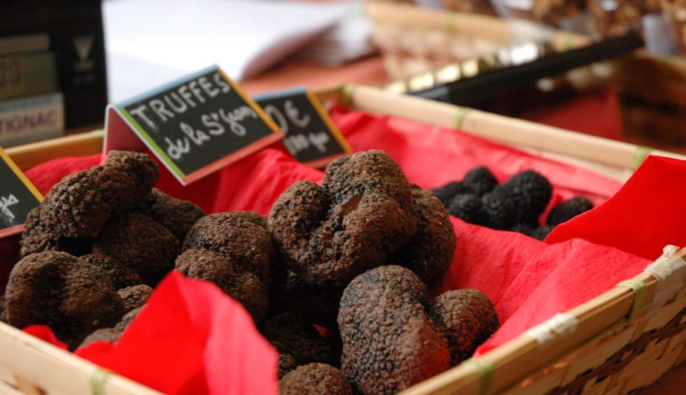Truffels 2 Dordogne Lot Frankrijk culinair vakantie restaurant.jpg