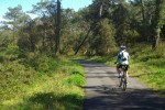 Landes 12 parc naturel Gascognes Frankrijk vakantie regio luxe villa toerisme bos wandelen fietsen.j