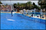 Marineland 13 Villa's du Verdon Frankrijk Provence Antibus vakantiehuis cannes nice gezin.jpg
