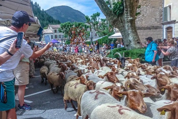 Castellane 6 trancehumance vakantie Provence   gorges Verdon.jpg