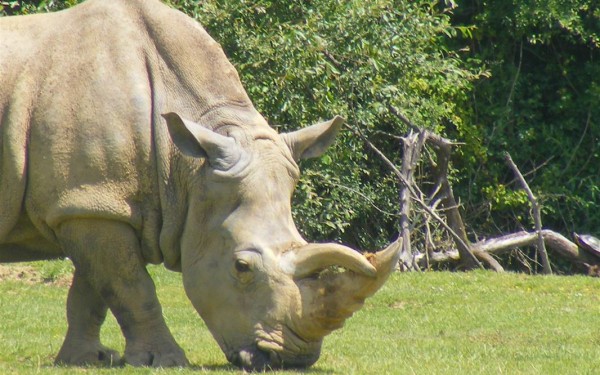 Zoo 20 Arcachon bassin teste buch Frankrijk dierentuin vakantie Bordeaux Gironde luxe villa animatie