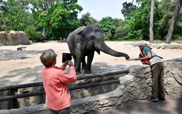 Zoo 4 Arcachon bassin teste buch olifant Frankrijk dierentuin vakantie Bordeaux Gironde luxe villa a