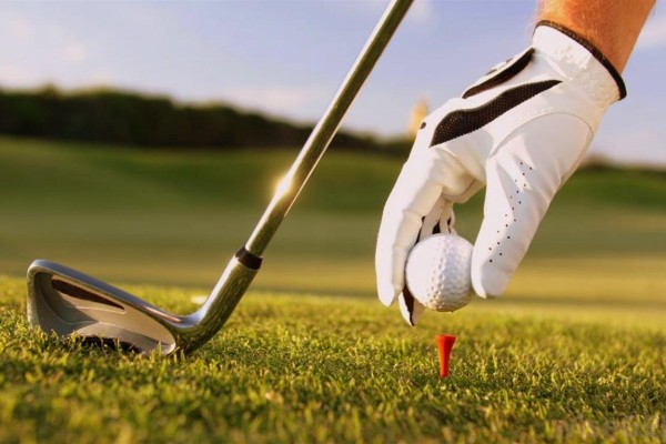 Golf Les Forges 1 Frankrijk poitou charente bois senis comfort vakantiepark luxe villa wifi.jpg
