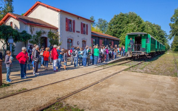 Marqueze 1a Frankrijk Gironde landes toeristentrein vakantie kinderen eco museum aquitaine.jpg
