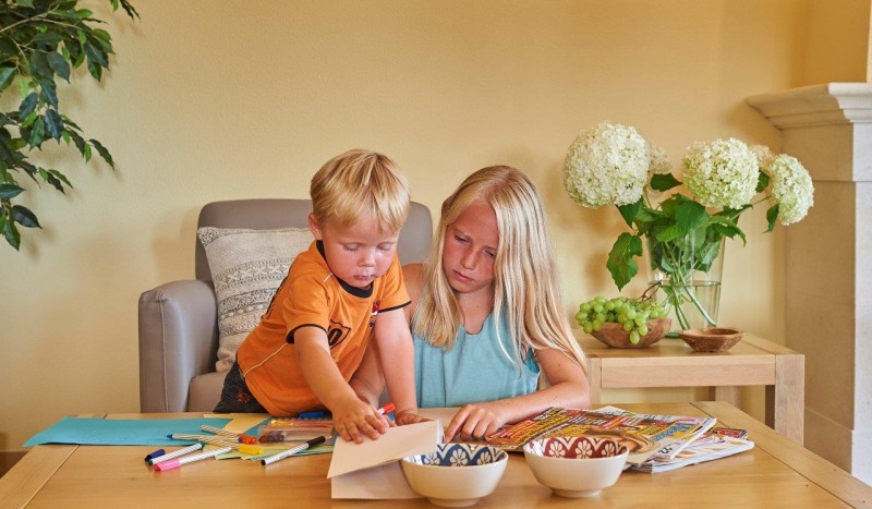 DLF huis 409 Frankrijk Domaine les Forges kinderen senioren le bois senis vakantiehuis luxe villapar