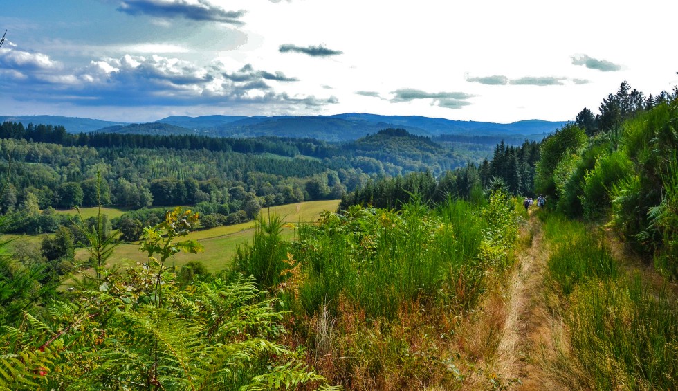 Natuurgebieden 8 Poitou-Charentes haute vienne vallei Frankrijk wandelen in vakantie.jpg