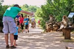 Apen Rocamadour 8 Frankrijk vakantiepark wandelen bos singes hond luxe villa gezin kinderen wifi.jpg