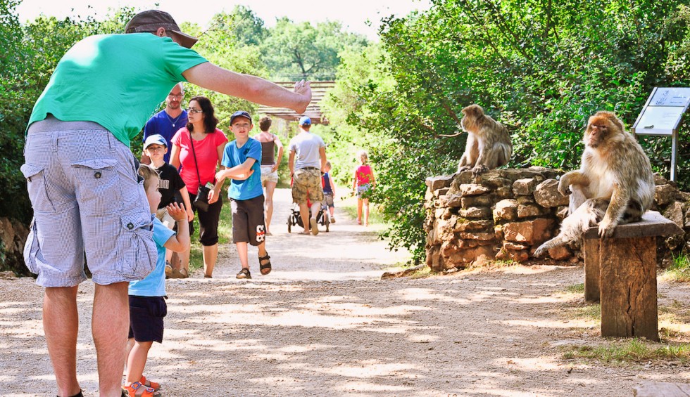 Apen Rocamadour 8a Frankrijk vakantiepark wandelen bos singes villa gezin kinderen.jpg