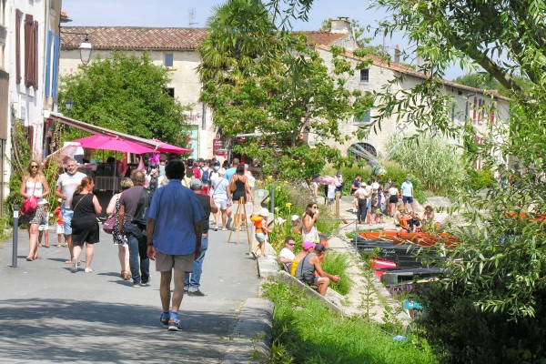 Coulon 3 Frankrijk Marais Poitevin natuurpark Charente vakantie Niort.jpg