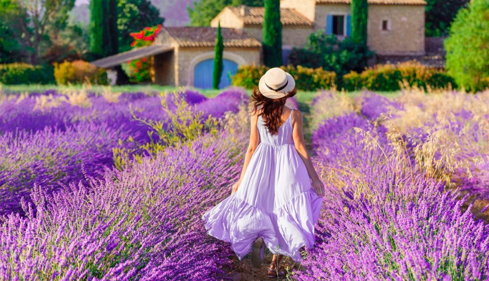 Regionale producten 4 Provence Frankrijk Cote d Azur Lavendel vakantie luxe villa.jpg