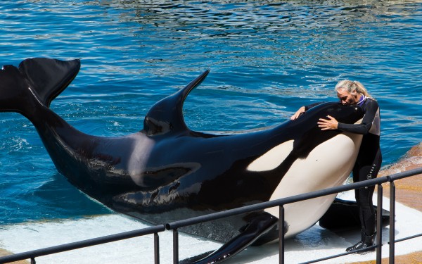 Marineland 15 Villa's du Verdon Frankrijk Provence Antibus vakantiehuis cannes nice gezin.jpg