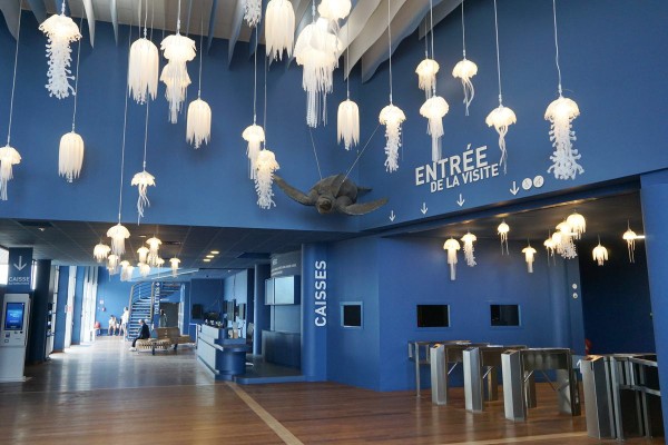 Rochelle Aquarium 4 Frankrijk vakantie kust zee zwemmen atlantisch haven strand forges.jpg