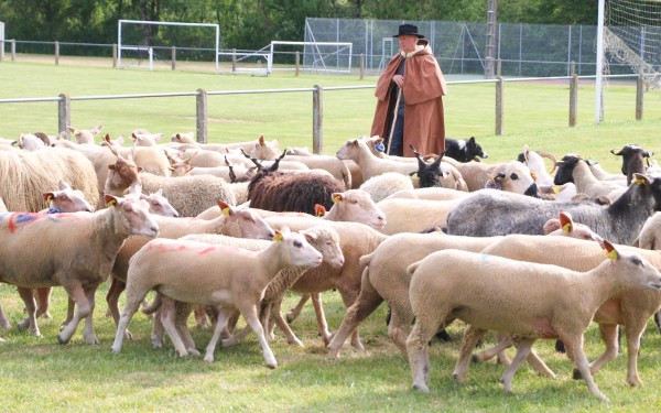 Mouton Village 14 Vasles Frankrijk vakantie Forges schapen park kinderen.jpg