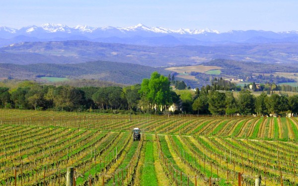 Abbaye 14 Abdij Hilaire Limoux blanquette brut wijn vignoble vakantie villa Frankrijk carcassonne qu