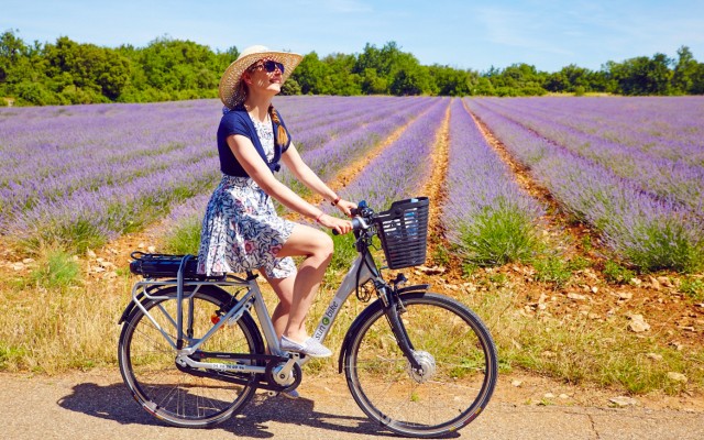 FranceComfort fietsen velo cycle vakantie holida vacances Provences Lavendel.jpg