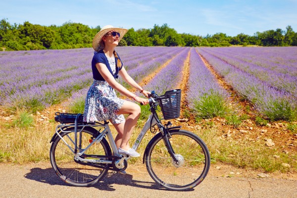 FranceComfort fietsen velo cycle vakantie holida vacances Provences Lavendel.jpg