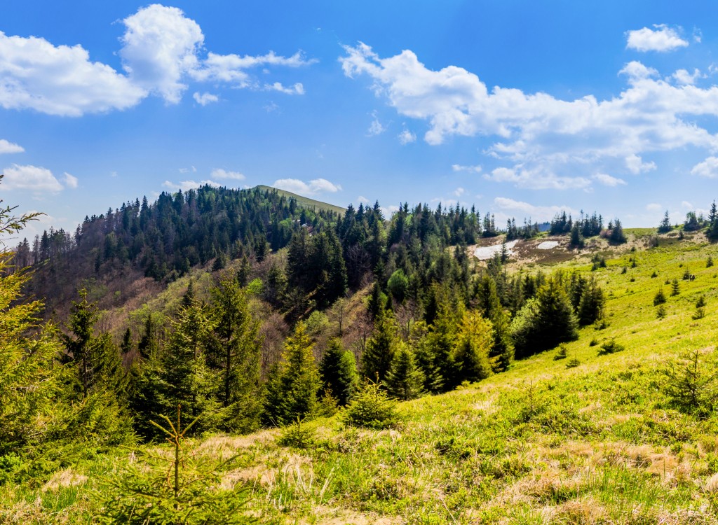 Wandelen 12 vakantie Portes du soleil Frankrijk Alpen zomer bergen.jpg