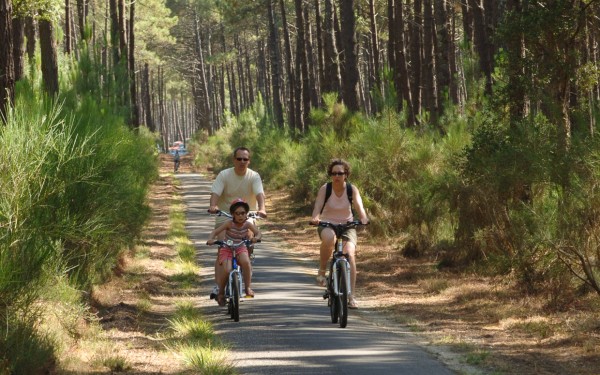 Landes 14 parc naturel Gascognes Frankrijk vakantie regio luxe villa toerisme bos wandelen fietsen.j