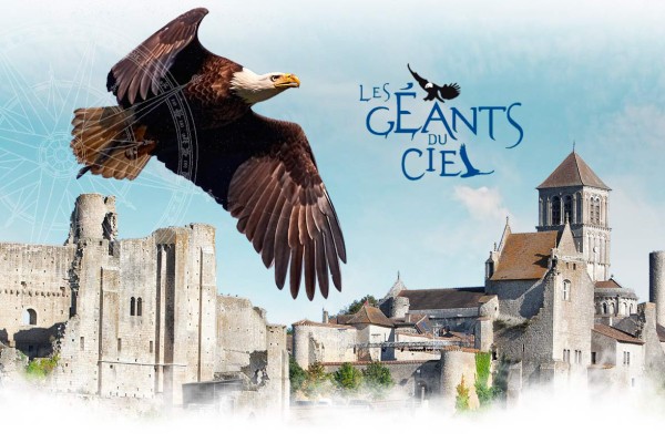 Geants du ciel 11 roofvogels chauvigny Poitiers Frankrijk chateau vakantie show gezin.jpg
