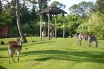 Zoo 9 Arcachon bassin teste buch Frankrijk dierentuin vakantie Bordeaux Gironde luxe villa animatie.