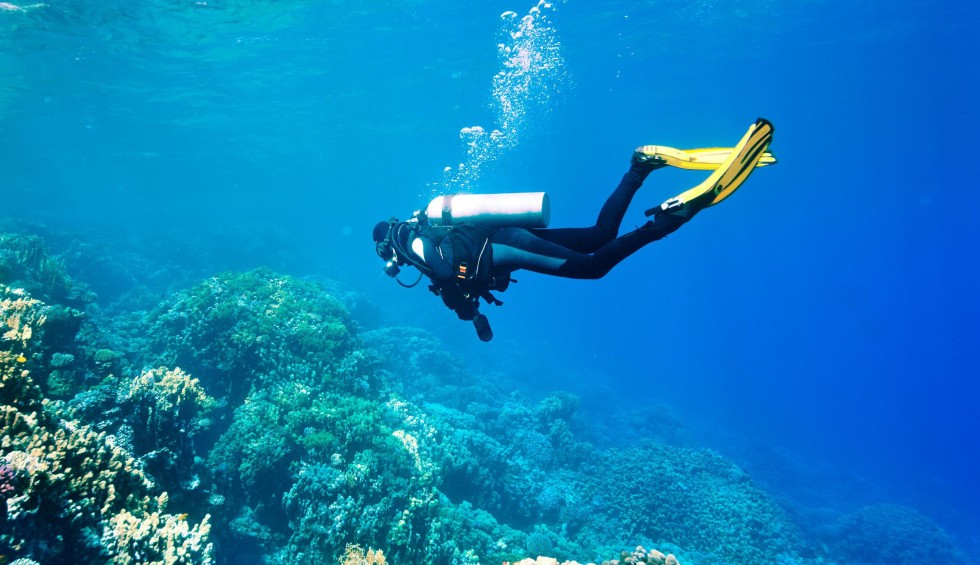 Snorkelen 1 Frankrijk diepzeeduiken diving plonger vakantie middellandse zee kust Provence.jpg