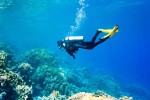 Snorkelen 1 Frankrijk diepzeeduiken diving plonger vakantie middellandse zee kust Provence.jpg