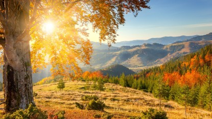 Herfst 1 vakantie Frankrijk najaar luxe villa appartement wandelen Alpen portes du Soleil.jpg