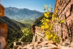 Train 14 jaune Frankrijk vakantie Cerdagne canari pyrenees villefranche mont louis bergen trein pyre