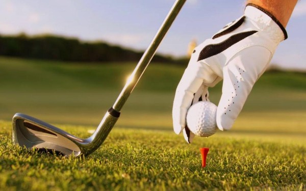 Golf Les Forges 1 Frankrijk poitou charente bois senis comfort vakantiepark luxe villa wifi.jpg