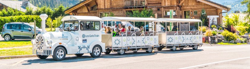 Multipas 8d Portes du soleil FranceComfort alpchalets trein train toeristen.jpg