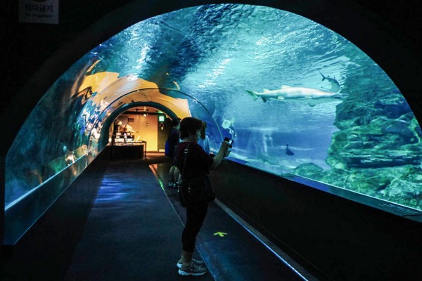 Rochelle Aquarium 9 Frankrijk vakantie kust zee zwemmen atlantisch haven strand forges.jpg
