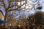 tour 9 Frankrijk vakantiepark tourtour Provence Var luxe villa kust middellandse zee franse sfeer pa