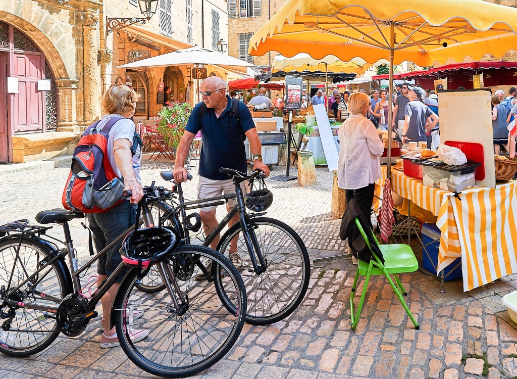 Fietsvakantie 14 Fietsen met partner of gezin in Frankrijk Alpen Provence Dordogne Poitou Charentes