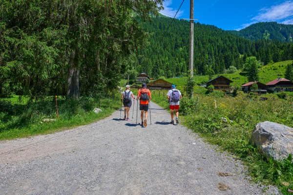 Bergdorpen 1 Alpen Portes du Soleil vakantie Frankrijk.jpg