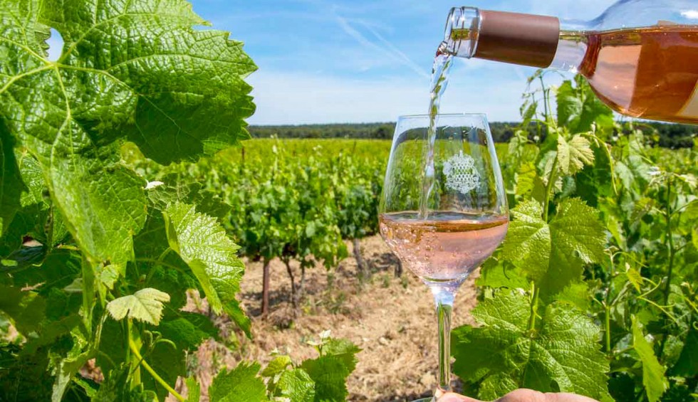 Wijn 3 Frankrijk Provence Bordeaux Dordogne Languedoc Lot proeverij druiven vakantie.jpg