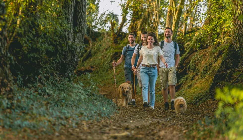 Hond 2 wandelen tijdens vakantie in Frankrijk.jpg