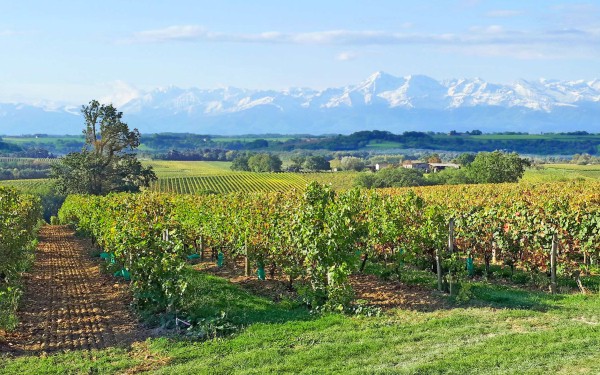 Abbaye 10 Abdij Hilaire Limoux blanquette brut wijn vignoble vakantie villa Frankrijk carcassonne qu
