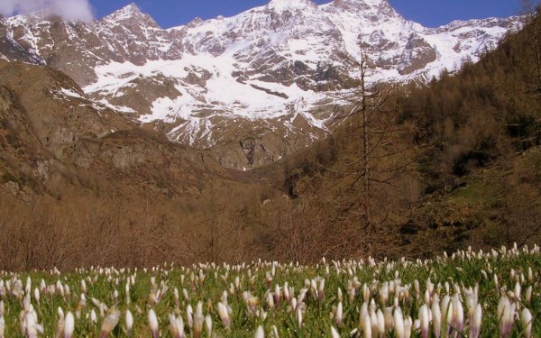 Pyreneeen 9 Frankrijk vakantieland nederlands vakantiehuis luxe dordogne ariege languedoc midi villa
